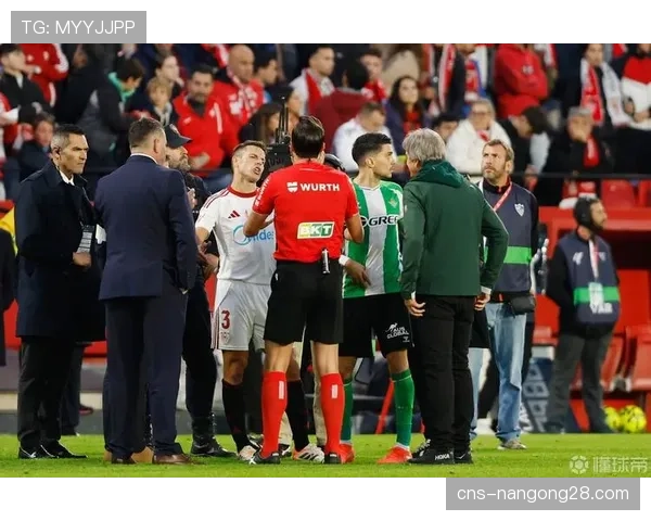 欧足联警告：针对近期球迷投掷杂物的行为，将考虑空场处罚